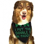 Rolfusha Paddy’s Irish Pub St Plaid Bibs Triangle Bandanas Puppy Neck Scarf Collar Neckerchief Dogs Cats Pets Animals
