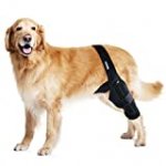 MerryMilo Dog Knee Brace For Support With Cruciate Ligament Injury, Joint Pain And Muscle Sore, Better Recovery With Dog ACL Knee Brace, Adjustable Rear Leg Braces For Dogs, Pet Knee Brace(Size: S)