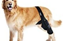 MerryMilo Dog Knee Brace For Support With Cruciate Ligament Injury, Joint Pain And Muscle Sore, Better Recovery With Dog ACL Knee Brace, Adjustable Rear Leg Braces For Dogs, Pet Knee Brace(Size: S)