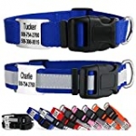 GoTags Reflective Personalized Dog Collar with Nameplate, Adjustable Dog Collar with Custom Engraved Slide On Pet ID Tag in Stainless Steel, Silent, No Noise Dog ID Tag (Blue, Large)
