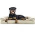 Coolaroo The Original Elevated Pet Bed, Large, Brunswick Green