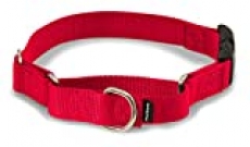 PetSafe Martingale Collar with Quick Snap Buckle, 1″ Large, Red