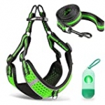 Btromeshy Step-in Dog Harness,Small Dog Harness and Leash Set,Adjustable 3M Reflective Pet Dog Vest for Puppy,Soft Air Mesh Step-in Harness for Small Medium Breed