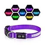 LED Dog Collars – 7 Colors Changeable Pet Collar – 100% Waterproof with Rechargeable Light Up Collar, Makes Your Puppy Seen & Safe, Basic Dog Collars
