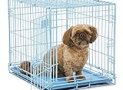 MidWest Homes for Pets Single Door Blue Folding Metal Dog Crate w/ Divider Panel, Floor Protecting ‘Roller’ Feet & Leak Proof Plastic Tray, 24L x 18W x 19H Inches, Small Dog Breed