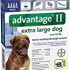 Pet MD – Canine Tabs Plus 365 Count – Advanced Multivitamins for Dogs – Natural Daily Vitamin and Mineral Nutritional Supplement – Liver Flavored Chewable Tablets