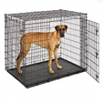 Midwest SL54DD ‘Ginormus’ Double Door Dog Crate for XXL for the Largest Dogs Breeds, Great Dane, Mastiff, St. Bernard
