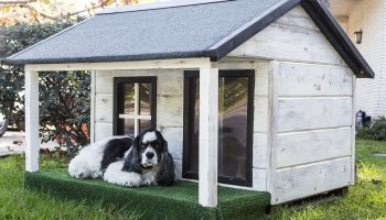 Dog Crate Sizes – Finding the Right Dog Crate Size