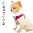 NPET Cat Water Fountain, 101oz/3L Automatic Pet Drinking Fountain Dog Water Dispenser with Quadruple-Action Filter (WF020 Transparent)