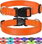 FunTags Reflective Nylon Dog Collar with Quick Release Buckle Adjustable,Classic Solid Colors,Orange,Medium Size