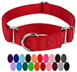 Country Brook Design – Martingale Heavyduty Nylon Dog Collar – Red – Large