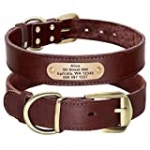 Didog Genuine Leather Dog Collars with Engraved Nameplate, Personalized Soft Leather Dog Collar with Custom ID Tag, Brown/Green/Red for Small Medium Large Dogs