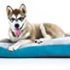 MidWest Homes for Pets Deluxe Dog Beds | Super Plush Dog & Cat Beds Ideal for Dog Crates | Machine Wash & Dryer Friendly, 1-Year Warranty