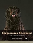 Bergamasco Shepherd: Choose best dog breeds for you