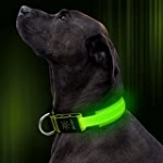 Illumifun LED Dog Collar, Nylon Adjustable Light Up Collar, USB Rechargeable Glowing Dog Collar Make Your Dogs Be Visible& Safe at Night(Green, Large)