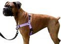 ShawnCo Dream Walk No-Pull Dog Harness- Adjustable, Comfortable, Easy to Use Pet Halter to Help Stop Pulling for Small, Medium and Large Dogs (Icy Lilac, L)