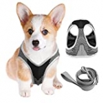 YMINA Step in Dog Harness No Pull No Choke Dog Harness and Leash Set Reflective Air Mesh Dog Vest Harness for Extra Small Medium Size Dog Adjustable Padded Dog Vest with Easy Control Handle, Black S