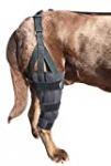 Labra Dog Canine K9 Knee Stifle Brace Wrap Metal Splint Hinged Flexible Support Treat ACL CCL Luxating Patella Cruciate Ligament Sprain Strain Tear Injuries