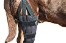 Labra Dog Canine K9 Knee Stifle Brace Wrap Metal Splint Hinged Flexible Support Treat ACL CCL Luxating Patella Cruciate Ligament Sprain Strain Tear Injuries