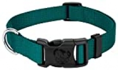 Country Brook Petz 25+ Classic Solid Colors – Deluxe Nylon Dog Collar – Quick Release Buckle, Strong Hardware – Made in The U.S.A. (Large, 1 Inch Wide, Teal)
