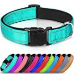 Joytale Reflective Dog Collar,Soft Neoprene Padded Breathable Nylon Pet Collar Adjustable for Small Dogs,Teal,S
