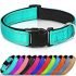 Blueberry Pet Essentials 22 Colors Classic Dog Collar, Black, Small, Neck 12″-16″, Collars for Dogs