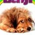 Deshedding Brush for Dogs & Cats – Dog Grooming Supplies, Shedding Blade for Dogs Reduces Shedding up to 95% – Professional Dog & Cat Undercoat Hair Brushes, Pet Comb