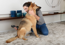 B-cure Laser Vet Device for Pets: A Home Laser Therapy, Accelerates Healing and Reduces Pain and Inflammation in Dogs, Cats, Horses and Other Animals
