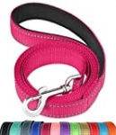 FunTags 6FT Reflective Dog Leash with Soft Padded Handle for Training,Walking Lead for Large & Medium Dog,1 Inch Wide,HOTPINK
