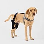Poveo Dog Knee Brace with Spilint & Patella Tracker – Neoprene Canine Stifle Support for Dogs with Torn ACL, Patella Luxation, osteoarthritis, limping from Joint Pain, Hip dysplasia (Left, 3X-Large)