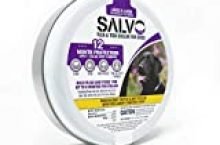 SALVO Flea and Tick Collar for Dogs – Pack of 2 for 12 Months of Protection – Waterproof, Durable Dog Collar – Flea and Tick Prevention for Dogs (Large)