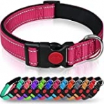 Taglory Reflective Dog Collar with Safety Locking Buckle, Adjustable Nylon Pet Collars for Small Dogs, S, Hot Pink