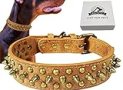 Kawagogo Spiked Studded Dog Collar, Anti-bite PU Leather Collar for Small Medium Large Dogs, Pitbull Mastiff Bully Boxer Collar (S,Brown)