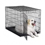 New World 48″ Folding Metal Dog Crate, Includes Leak-Proof Plastic Tray; Dog Crate Measures 48L x 30W x 33H Inches, Fits XL Dog Breeds