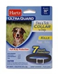 Hartz UltraGuard Flea & Tick Collar for Dogs and Puppies, 7 Month Flea and Tick Protection and Prevention Per Collar, Black, Up to 20 Inch Neck