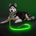 LED Dog Leash Light Up Dog Leash Micro USB Rechargeable Waterproof Nylon Webbing Glow Safety Standard Dog Leash for Dogs (Green)