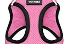 Voyager Step-in Air Dog Harness – All Weather Mesh, Step in Vest Harness for Small and Medium Dogs by Best Pet Supplies