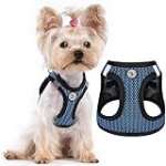 No Pull Small Dog Harness (for Under 22lbs Dogs) Step in Air Mesh Puppy Harness Lightweight Extra Small Dog Harness Vest Reflective Dog Harness for Small Dogs Cats (Blue, XXS)