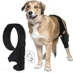 Dlevakve Size L Dog Knee Brace for Torn Acl Hind Leg for Support with Cruciate Ligament Injury, Better Recovery with Dog Leg Braces for Back Leg