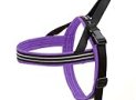 ComfortFlex Sport Harness – American Made No Pull Dog Harness Medium Sized Dog – Lightweight, Padded, Reflective No Rub Harness for Walking & Running – Medium, Purple