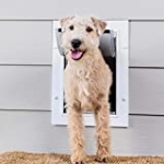 PetSafe Wall Entry Pet Door with Telescoping Tunnel, Medium, for Pets Up to 40 Lb., White, Made in the USA