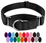 Country Brook Design – Martingale Heavyduty Nylon Dog Collar – Black – Medium