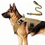 rabbitgoo Tactical Dog Harness and Bungee Dog Leash Set for Large Medium Dogs, Molle Vest for Service & Training Military Dogs Adjustable Training Hunting Dog Tactical Vest, Tan, M,Chest (25.4-36.0”)