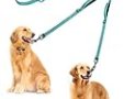 PetBonus Double Dog Leash, No Tangle Dual Dog Leash, Reflective Walking Training Leash, 4 Comfortable Padded Handles for 2 Dogs with Collapsible Bowl and Waste Bags (Turquoise, Large)