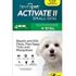 KetoWELL Ketoconazole & Chlorhexidine Shampoo for Dogs & Cats – Antifungal & Antiseptic Medicated Dog Shampoo for Hot Spots, Ringworm, Yeast, Fungal Infections, Acne & Pyoderma