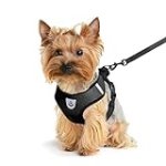 shudyear Dog Walking Chest Harness and Leash, Anti-Escape Adjustable Soft Mesh Dog Leash and Harness Set for Small Dog and Puppies, Vest for Medium Sized Dogs (Black, L)