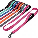 VIVAGLORY Dog Leash with Two Padded Handles, Heavy Duty 6ft Reflective Nylon Traffic Leash Training Walking Lead with for Mediun Large Breed Dogs, Pink