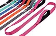 VIVAGLORY Dog Leash with Two Padded Handles, Heavy Duty 6ft Reflective Nylon Traffic Leash Training Walking Lead with for Mediun Large Breed Dogs, Pink