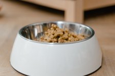 Puppy Feed Guide – Puppy Food Types and Nutrition