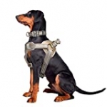 WINSEE Dog Harness and Collar Set for Large Dogs, Reflective Adjustable Step in Dog Halter Harnesses no Pull with Cobra Buckle Dog Collar Heavy Duty, Soft Padded Pet Vest Walking Harness Brown camo